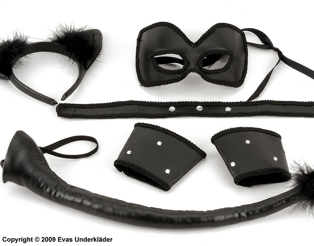 Accessory set for wicked kitties